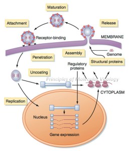 6481275833_eb306a804c_z