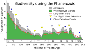 biodiversity_phanerozoic