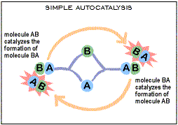 simple_autocatalysis